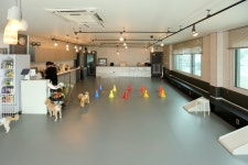 어도러블독 음식점 정보와 주변 관광 명소 및 근처 맛집 여행 정보