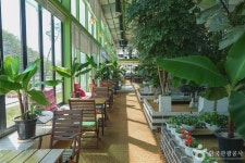 하나개팜 관광 정보와 주변 관광 명소 및 근처 맛집 여행 정보