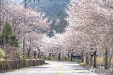 물한계곡 관광 정보와 주변 관광 명소 및 근처 맛집 여행 정보