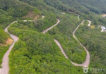 도마령(전망대) 관광 정보와 주변 관광 명소 및 근처 맛집 여행 정보