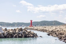 이동항 - 주변 여행 및 근처 관광 명소 - 국내 여행 정보와 관광 명소 정보