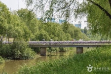 반포 서래섬 관광 정보와 주변 관광 명소 및 근처 맛집 여행 정보
