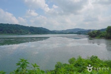 정읍 피향정 - 주변 여행 및 근처 관광 명소 - 국내 여행 정보와 관광 명소 정보