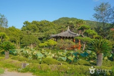 남포미술관 문화 정보와 주변 관광 명소 및 근처 맛집 여행 정보