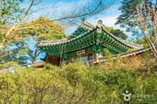 산돼지마을 - 주변 여행 및 근처 관광 명소 - 국내 여행 정보와 관광 명소 정보