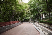 自由公園（仁川）（자유공원（인천）） - 観光 - 韓国旅行・観光情報