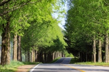 부귀 편백숲 삼림욕장 - 주변 여행 및 근처 관광 명소 - 국내 여행 정보와 관광 명소 정보