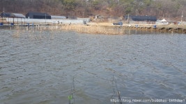 금이낚시터 레저스포츠 정보와 주변 관광 명소 및 근처 맛집 여행 정보