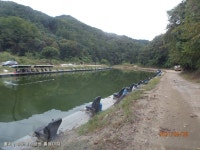 화도낚시공원 - 주변 여행 및 근처 관광 명소 - 국내 여행 정보와 관광 명소 정보