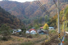 두무리산촌생태마을 관광 정보와 주변 관광 명소 및 근처 맛집 여행 정보