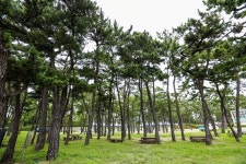 경포해수욕장 관광 정보와 주변 관광 명소 및 근처 맛집 여행 정보