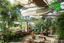 [제주올레 6코스] 쇠소깍-제주올레 여행자센터 올레 - 주변 여행 및 근처 관광 명소 - 국내 여행 정보와 관광 명소 정보