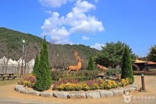 대가야기마문화체험장 관광 정보와 주변 관광 명소 및 근처 맛집 여행 정보