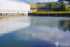 삽교천낚시터 레저스포츠 정보와 주변 관광 명소 및 근처 맛집 여행 정보