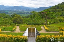 야생화테마랜드 관광 정보와 주변 관광 명소 및 근처 맛집 여행 정보