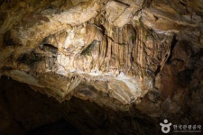 용연동굴 (강원고생대 국가지질공원) 관광 정보와 주변 관광 명소 및 근처 맛집 여행 정보