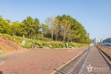 센텀 APEC나루공원 관광 정보와 주변 관광 명소 및 근처 맛집 여행 정보