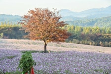 응봉상회 - 주변 여행 및 근처 관광 명소 - 국내 여행 정보와 관광 명소 정보