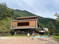 삼척 활기 치유의 숲 관광 정보와 주변 관광 명소 및 근처 맛집 여행 정보