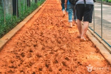 서대문 안산(안산자락길) 관광 정보와 주변 관광 명소 및 근처 맛집 여행 정보