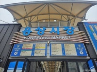 안동 용상시장 - 주변 여행 및 근처 관광 명소 - 국내 여행 정보와 관광 명소 정보