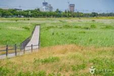 남대천 생태관찰로 관광 정보와 주변 관광 명소 및 근처 맛집 여행 정보
