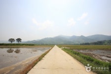 平沙里平野（평사리들판） - 観光 - 韓国旅行・観光情報