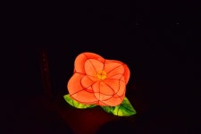 레이크힐스 골프텔 제주 - 주변 여행 및 근처 관광 명소 - 국내 여행 정보와 관광 명소 정보