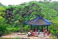 육모정 - 주변 여행 및 근처 관광 명소 - 국내 여행 정보와 관광 명소 정보
