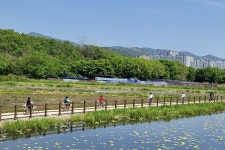 무덤덤투어(더휴앤) 관광 정보와 주변 관광 명소 및 근처 맛집 여행 정보
