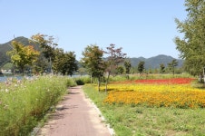 청춘양구 펀치볼 시래기사과축제 - 주변 여행 및 근처 관광 명소 - 국내 여행 정보와 관광 명소 정보