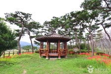 영광불갑테마공원 관광 정보와 주변 관광 명소 및 근처 맛집 여행 정보