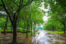둔배미공원 관광 정보와 주변 관광 명소 및 근처 맛집 여행 정보