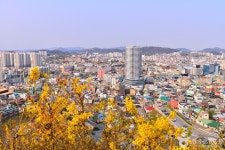 목포오포대 - 주변 여행 및 근처 관광 명소 - 국내 여행 정보와 관광 명소 정보