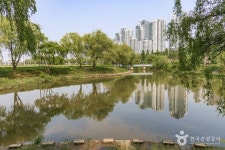 반포 서래섬 관광 정보와 주변 관광 명소 및 근처 맛집 여행 정보