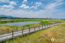 남대천 생태관찰로 관광 정보와 주변 관광 명소 및 근처 맛집 여행 정보