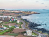 제주특별자치도농업기술원서부농업기술센터 - 주변 여행 및 근처 관광 명소 - 국내 여행 정보와 관광 명소 정보