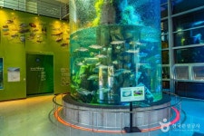 섬진강어류생태관 관광 정보와 주변 관광 명소 및 근처 맛집 여행 정보