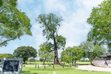 서산 경주김씨 고택 - 주변 여행 및 근처 관광 명소 - 국내 여행 정보와 관광 명소 정보