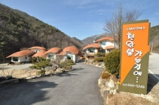 속리산 천왕봉 가는길에 펜션 숙박 정보와 주변 관광 명소 및 근처 맛집 여행 정보