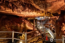 Cheongok Golden Bat Cave (천곡황금박쥐동굴) - Sightseeing - Korea travel and tourism information