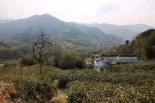 찻집단야 - 주변 여행 및 근처 관광 명소 - 국내 여행 정보와 관광 명소 정보