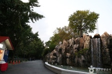 Foto aus Naver-Suchergebnissen 3