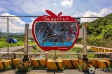 평광동 사과마을 관광 정보와 주변 관광 명소 및 근처 맛집 여행 정보