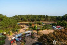 Korea Flower Park (코리아플라워파크) - Sightseeing - Korea travel and tourism information