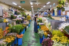 서울고속버스터미널 꽃도매상가 쇼핑 정보와 주변 관광 명소 및 근처 맛집 여행 정보