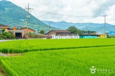 용두마을 관광 정보와 주변 관광 명소 및 근처 맛집 여행 정보