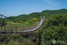 우포5마일 - 주변 여행 및 근처 관광 명소 - 국내 여행 정보와 관광 명소 정보