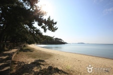 Songho Beach (송호해수욕장) - Sightseeing - Korea travel and tourism information