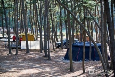 Baeksajang Beach (백사장해수욕장) - Sightseeing - Korea travel and tourism information